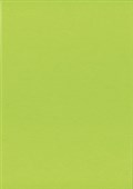 KASKAD COLOURED PAPER A4 160GSM PARAKEET GREEN PACK 15
